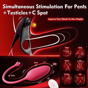 Detachable Design Vibrating Cock Penis Ring With Anal Plug for Couple - Lurevibe