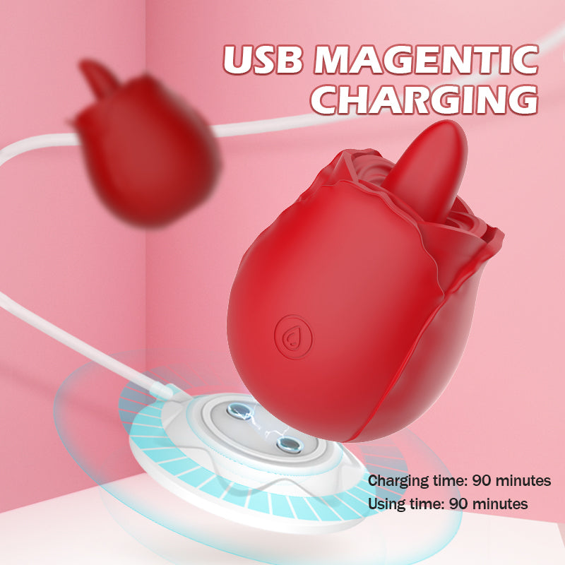 Câble de chargeur USB pour vibrateur De masseur We-Vibe Bloom